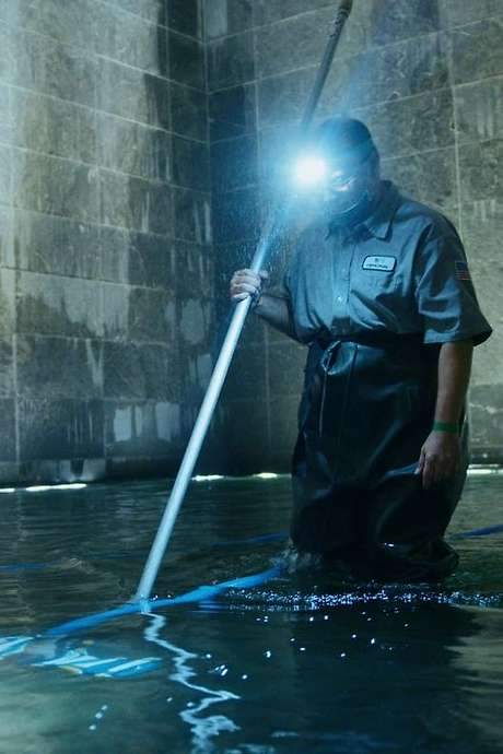 The Pool Cleaner